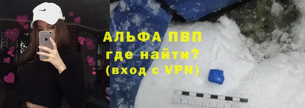 прущие грибы Лихославль