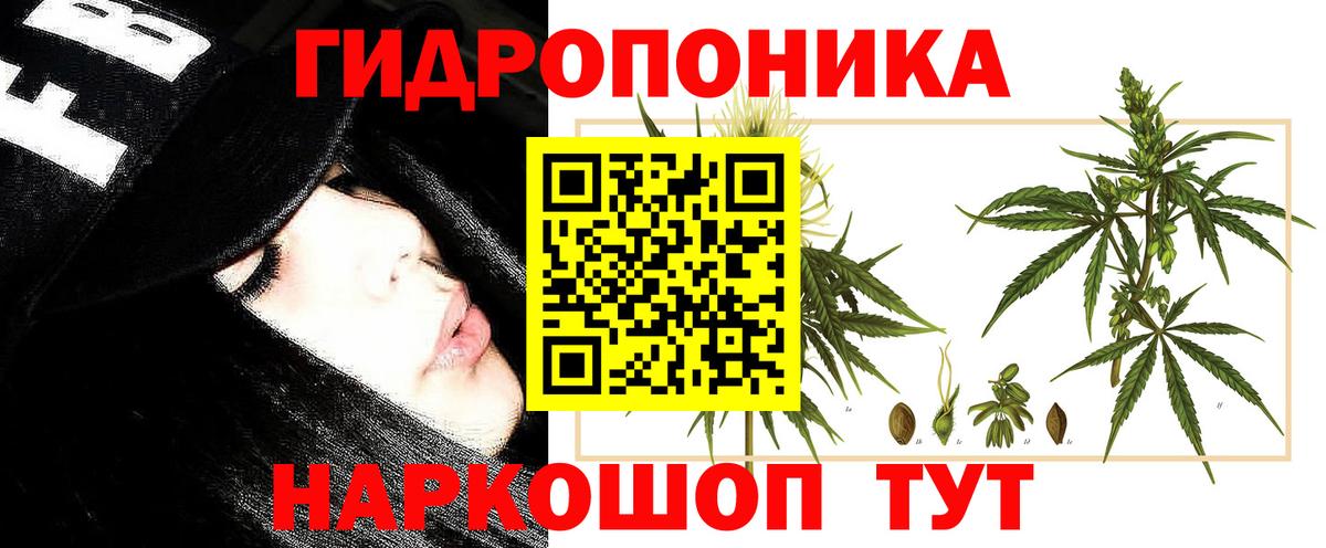 Конопля план Гусь-Хрустальный